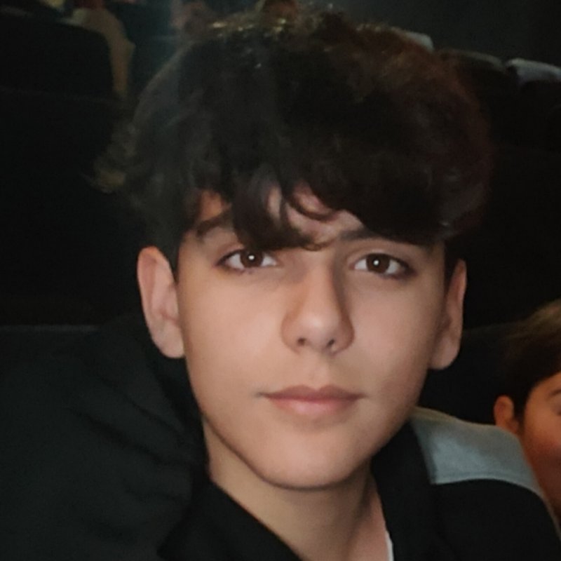 ENRIQUE MENESES HERNANDEZ