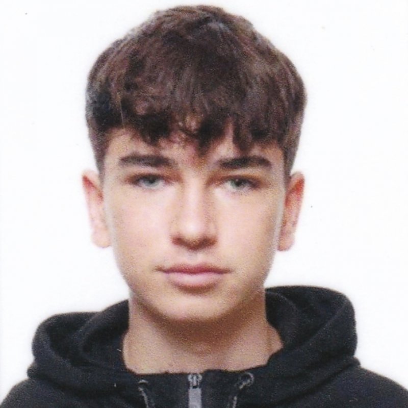 LUCAS DE ANDRES FERNANDEZ