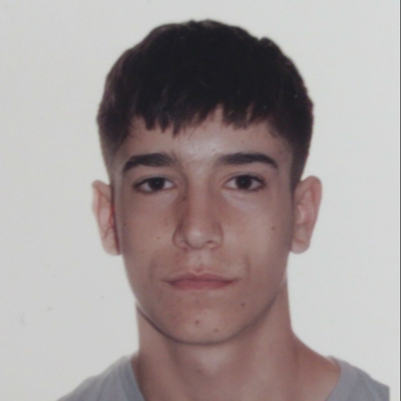 CARLOS FERNANDEZ CASCON