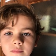 PAU DE AMILBIA ESTEBA