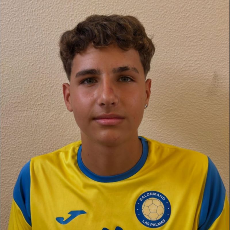 ERIK YAMIL DEL CASTILLO HENRIQUEZ