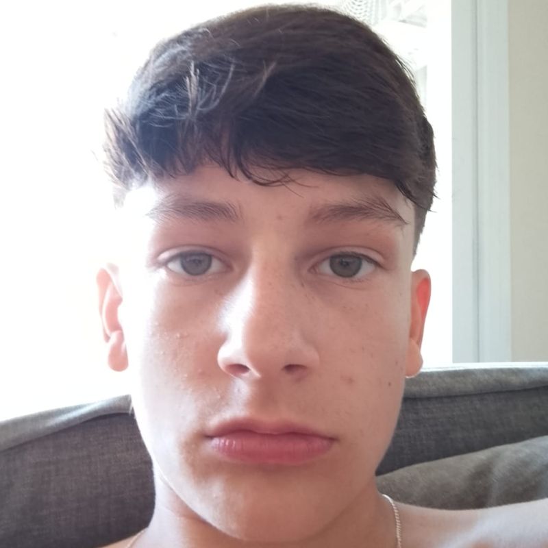 DARIO WILLEMSE TORRECILLA