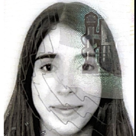 MIREIA CARPIO ORTIZ