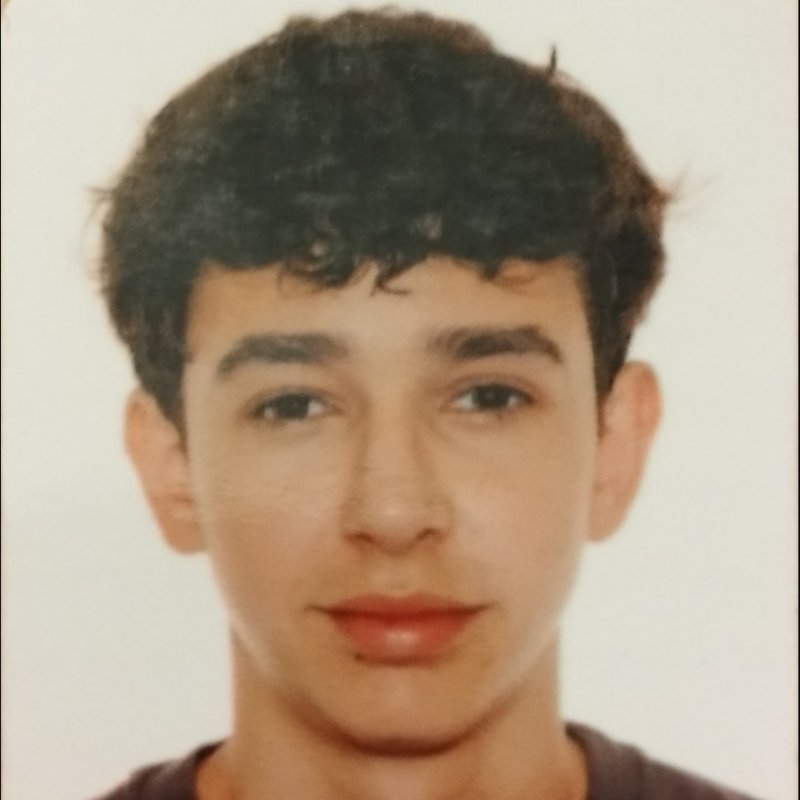 ARNAU VALLET GORDILLO