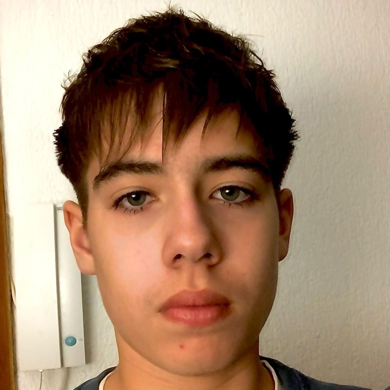 FAUSTINO RODRIGUEZ BREMERMANN