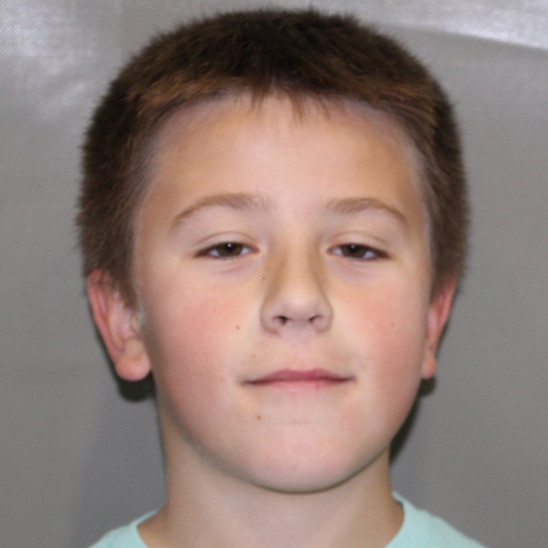 CARLOS TODOROV SELLES