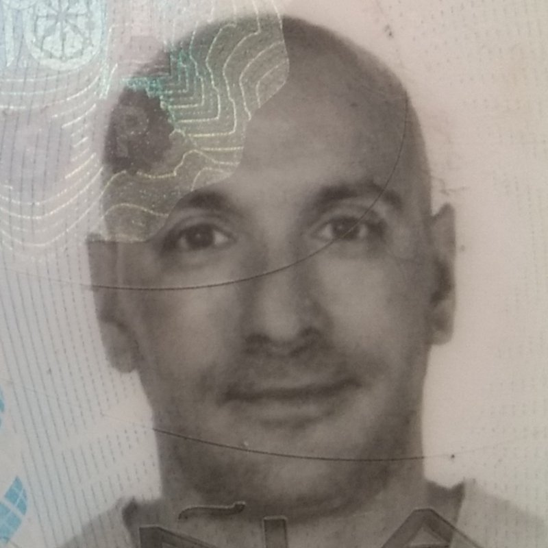 DAVID TORRES CARNICERO