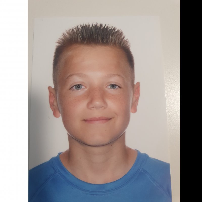 DAVID ADRIAN MANOLOIU