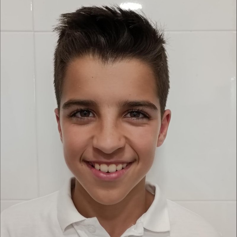 ALBERT PORTELL FONTANALS