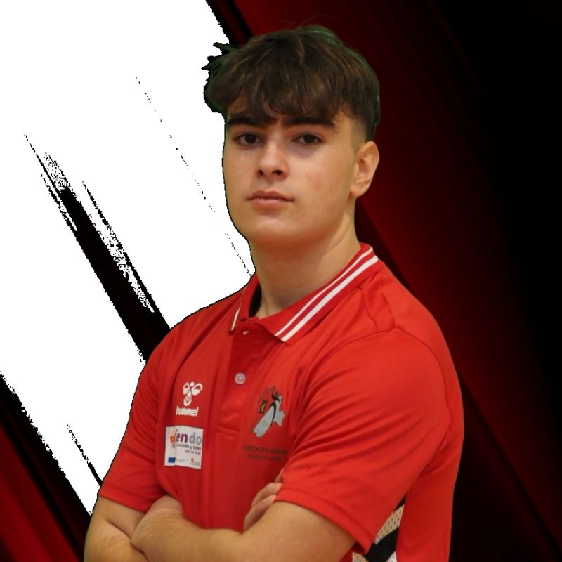 DIEGO PAJARES FERNANDEZ