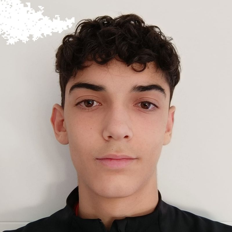 DIEGO CARRASCO SERRANO