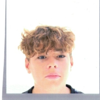 MANUEL  SANCHEZ ALFARO