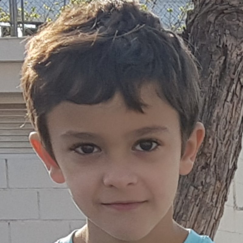 ALBERTO CASTRO CARRILLO