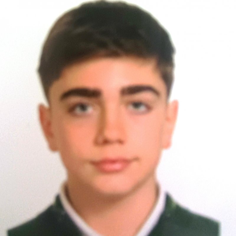JAVIER  RUIZ LOSILLA