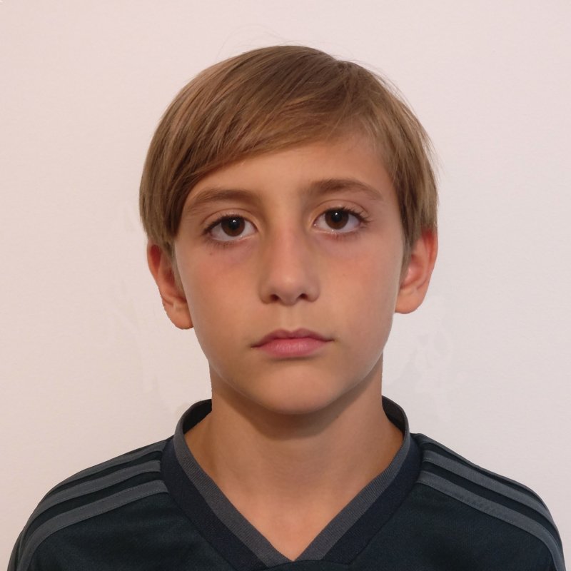 GUILLERMO HERNANDEZ DELGADO