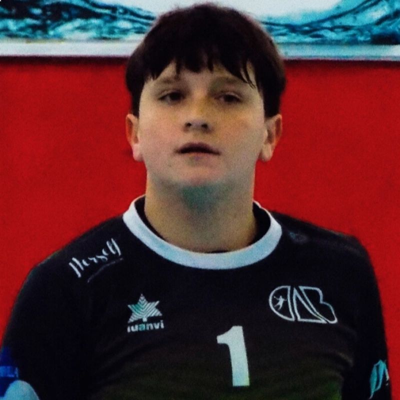 ARMANDO DIMITRIO VODINCEAR