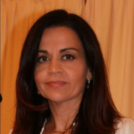 VIRGINIA CARMONA GONZALEZ 