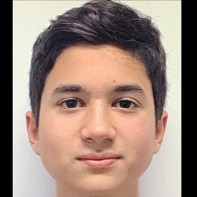 DIEGO FLORES DEL PEDRO