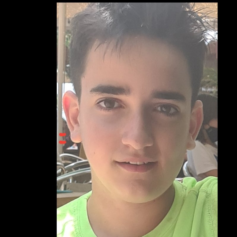 ALEX DE CASTRO MONJE