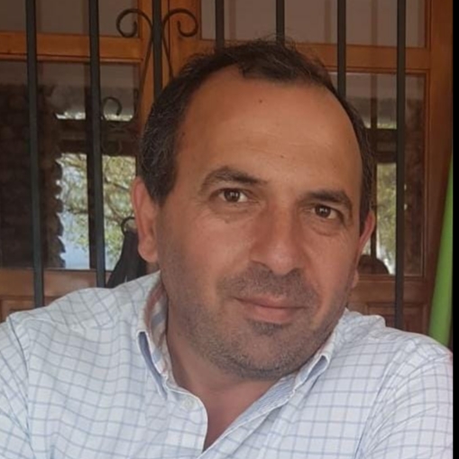 DAVID CUEVAS DOMINGUEZ