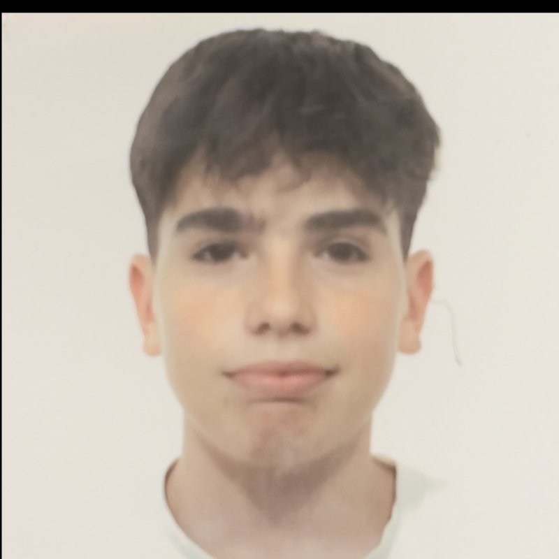 VICTOR  VIDAL PODADERA