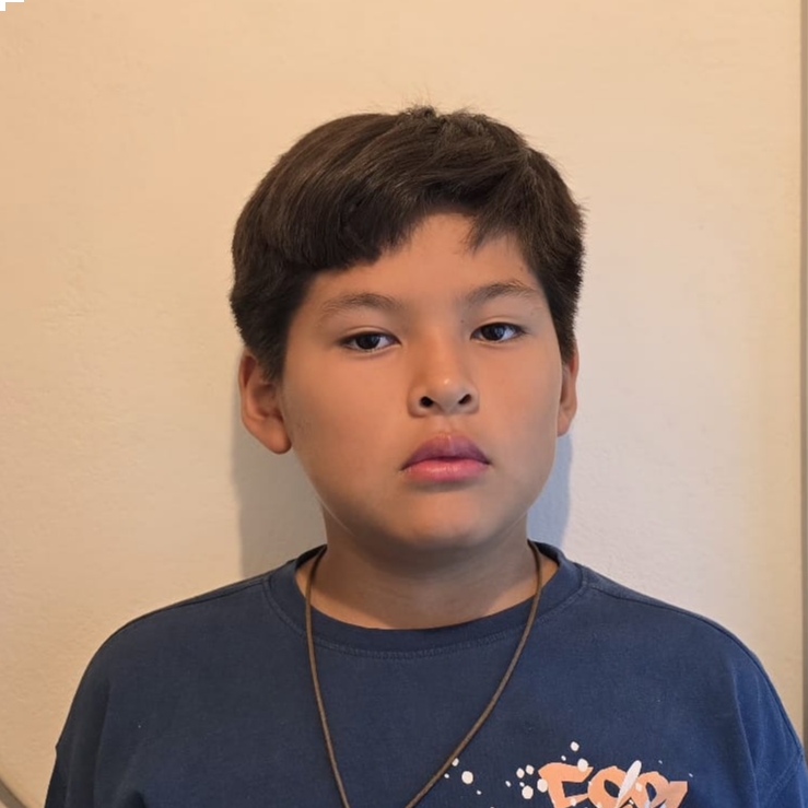 ALEJANDRO BUSTAMANTE AMAJAYA