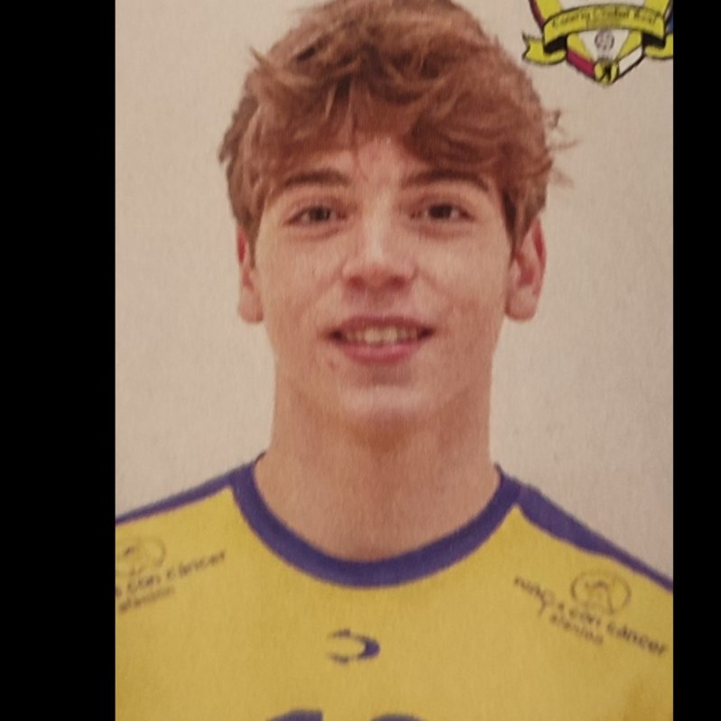 MARCO ANTONIO  PIQUERAS MIRAVALLES