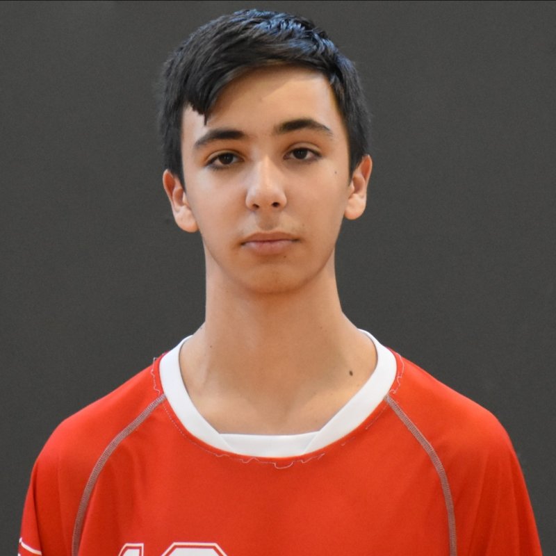 ALBERTO ANSEDE ANTELO