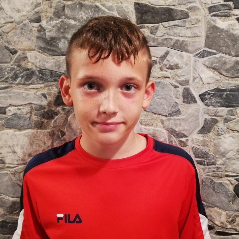 DAVID CONSTANTIN  ARDELEANU