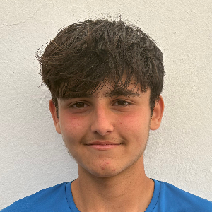 CRISTIAN  TOLEDO PALACIOS