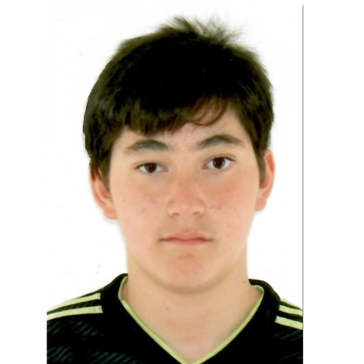 RENAT VIÑAS GONZALEZ