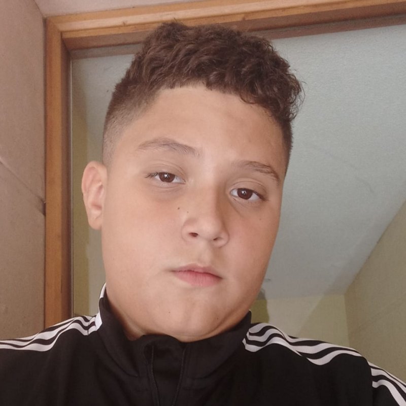 DAVID  BUDAI MONTENEGRO 