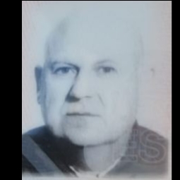 LUIS  PUERTO PEDRAJAS