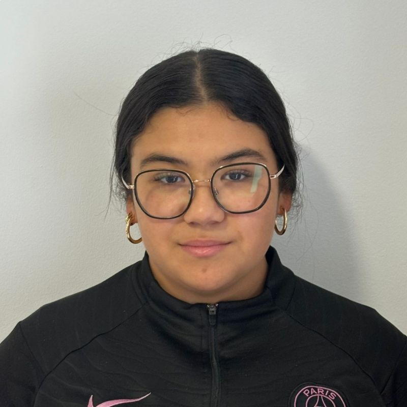 LOURDES GONÇALVES SILVA