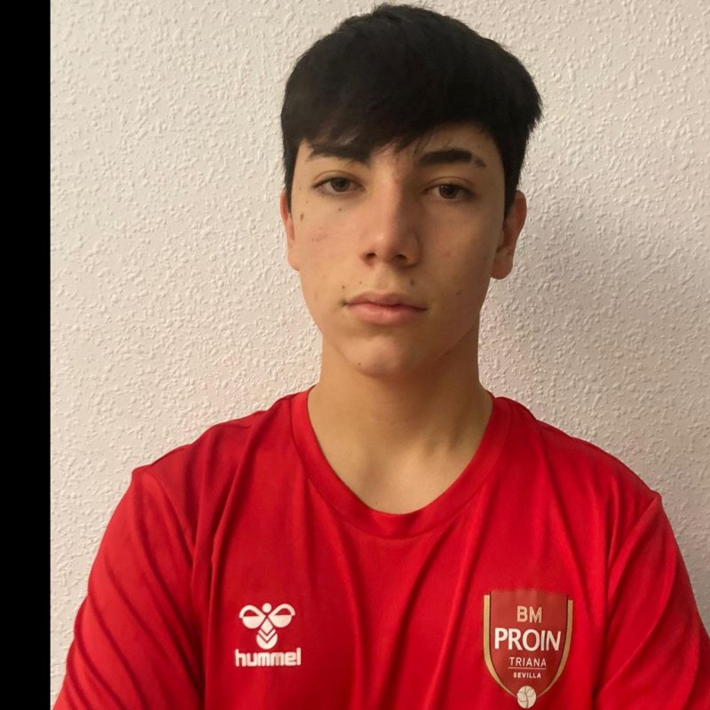 MARIO MONTERO RODRIGO