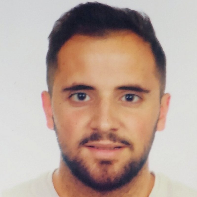 PABLO RUBIO VERGARA