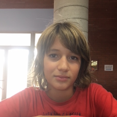 DANTE YRIARTE CICCOLELLI