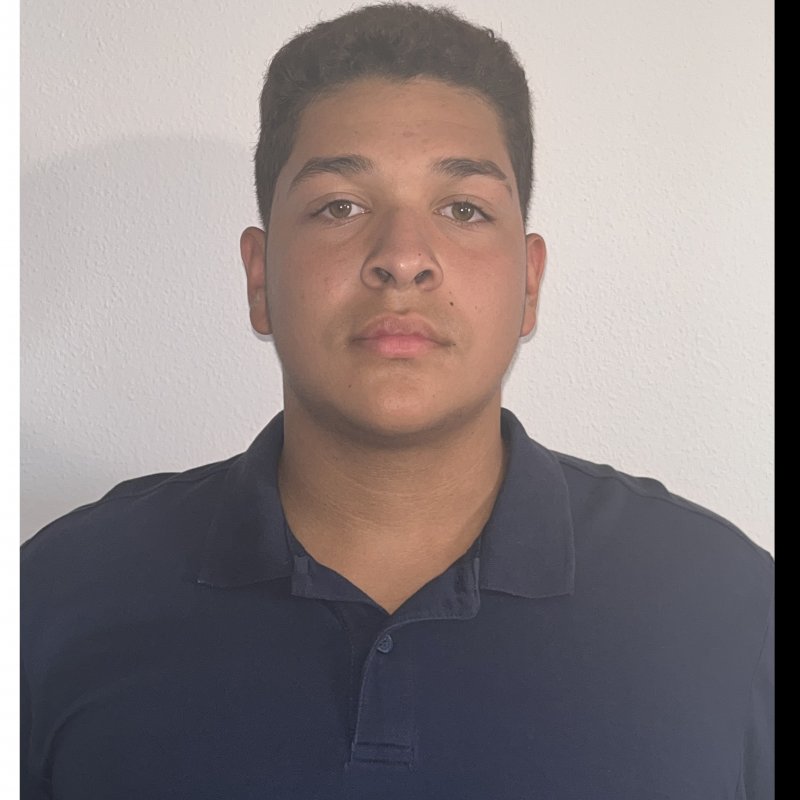 SANTIAGO ANDRES ZERPA BRAVO