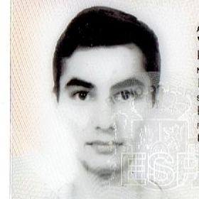 DANIEL VIDAL MONTES