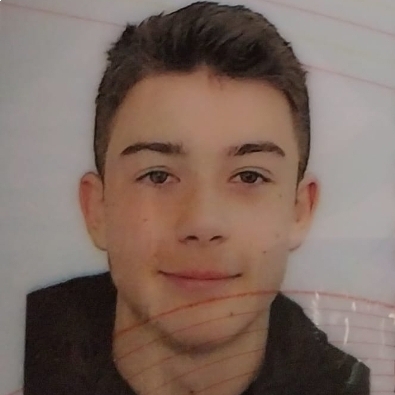 SRETEN VULETIC