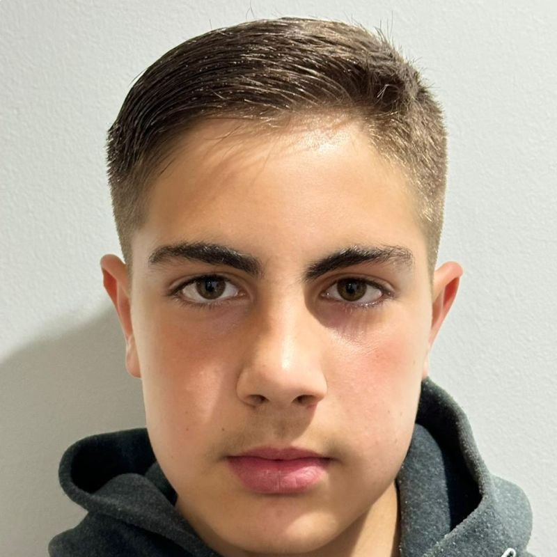 IGNACIO PASTRANA ARAUZ