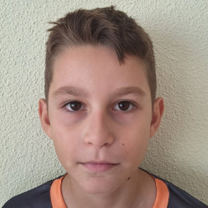 ANDREI STEFAN DAESCU