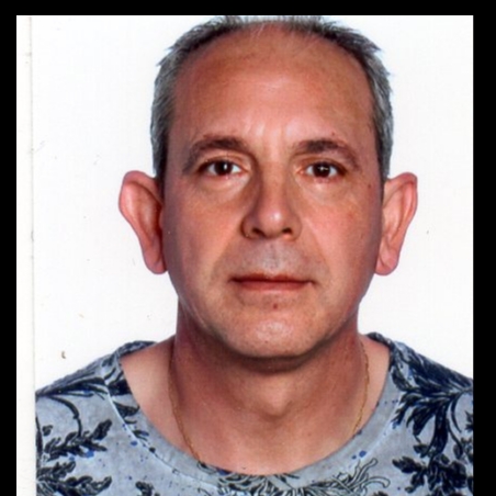 JESUS FERNANDO VIEDMA GAMEZ