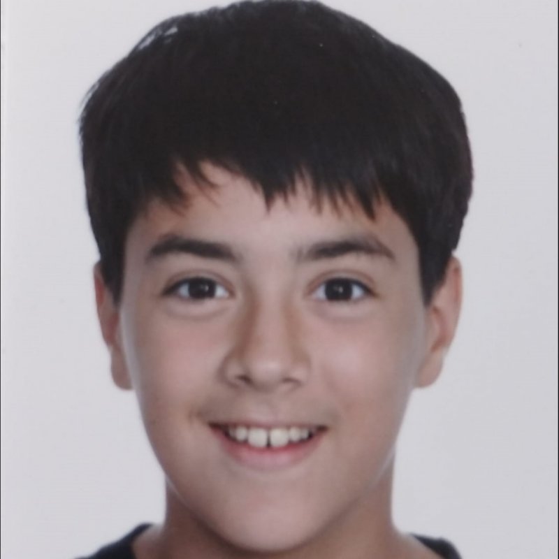 PAU FEBRER MARTINEZ