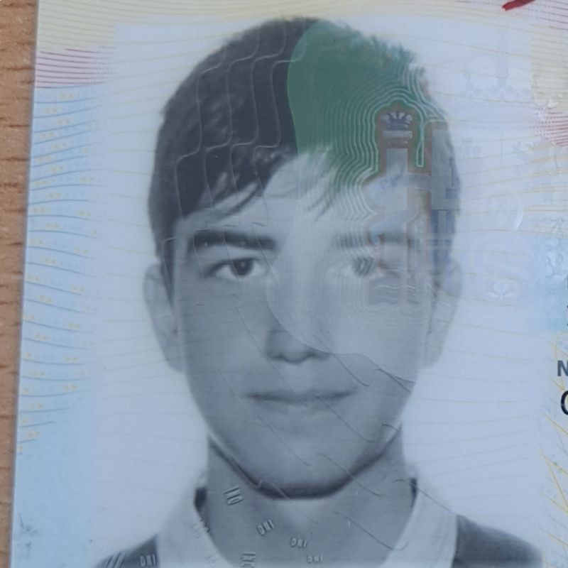 NICOLAS ALEGRIA MEDINA