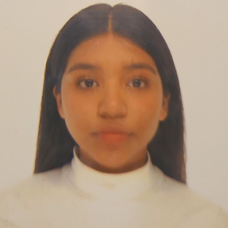 CHARLOTTE ANAI ALVARADO LLUMITAXI 