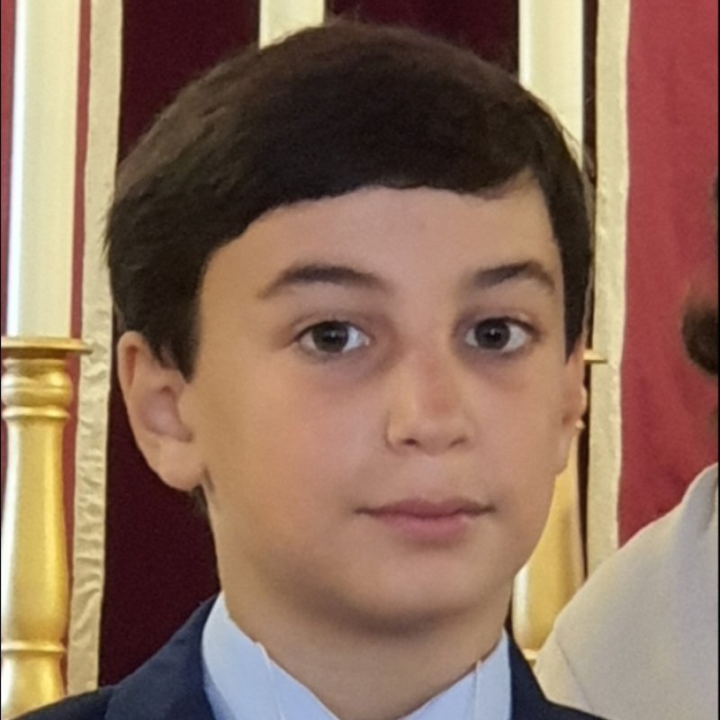 ENRIQUE ALES FERREIRA