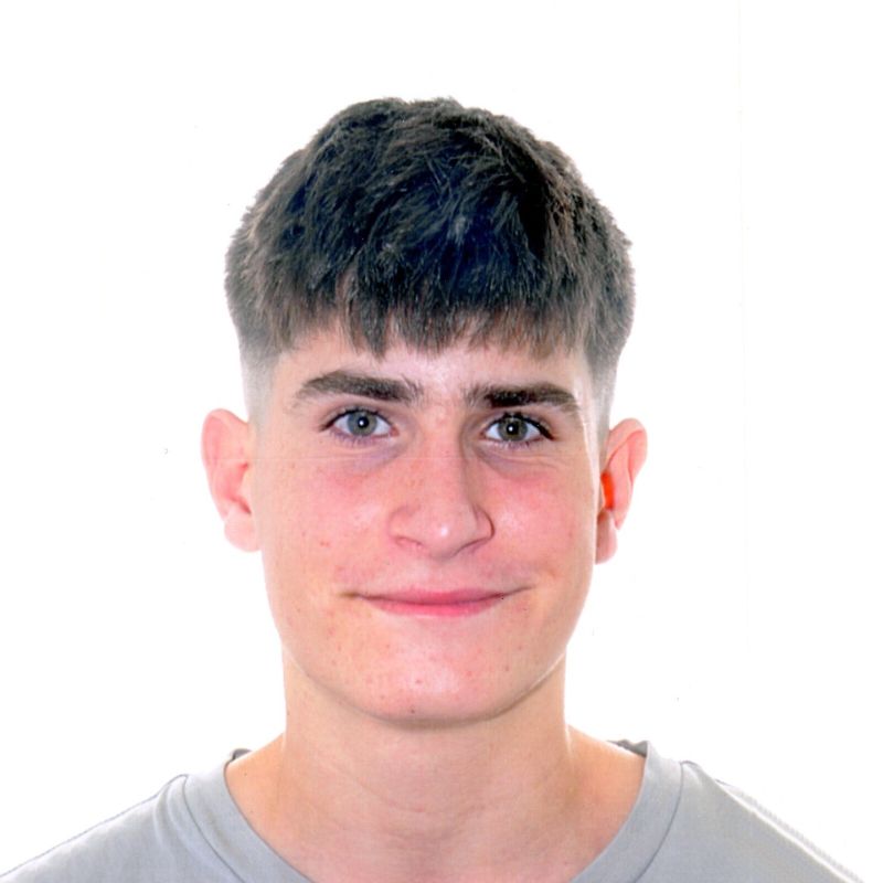 QUIRZE RICART BESALU