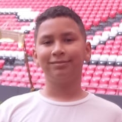 DAVID ALEXANDER  GARCIA VERGARA