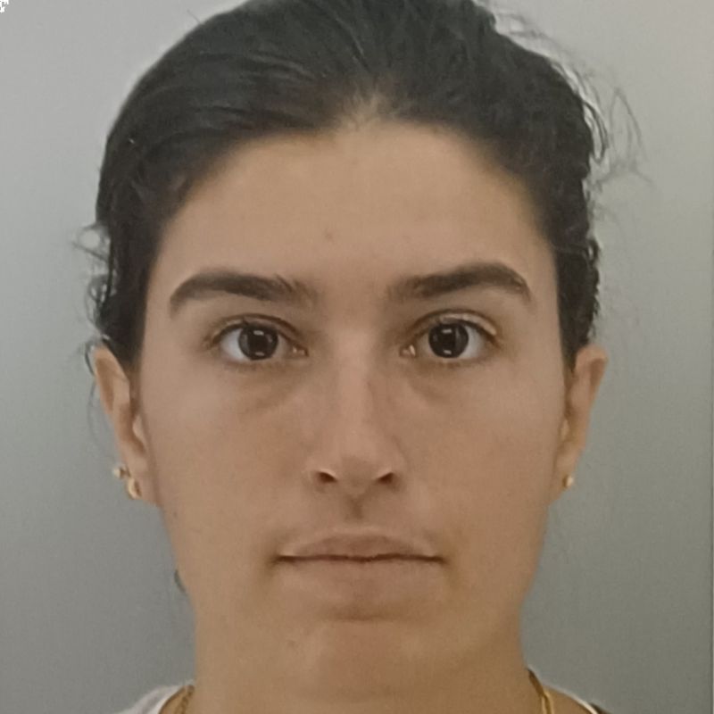 INES AMESTOY